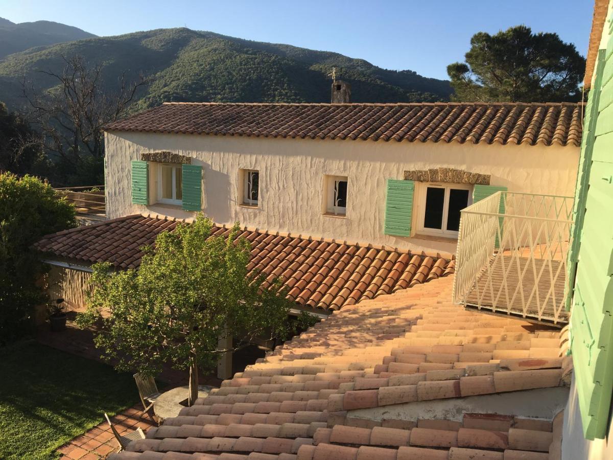 Villa Bonheur Vallespir Céret Exterior foto
