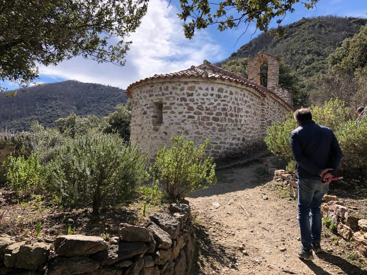 Villa Bonheur Vallespir Céret Exterior foto