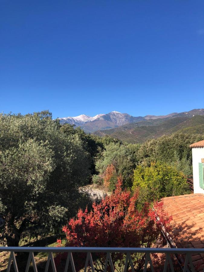 Villa Bonheur Vallespir Céret Exterior foto